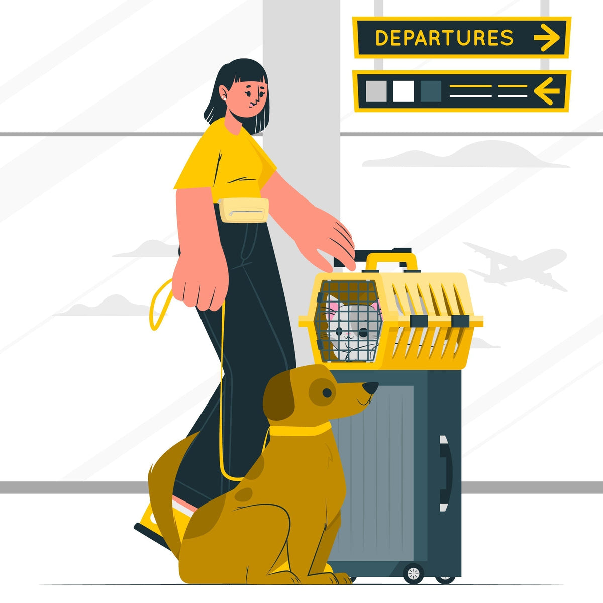 寵物搭三鐵規範與配套措施|2025 最新指南