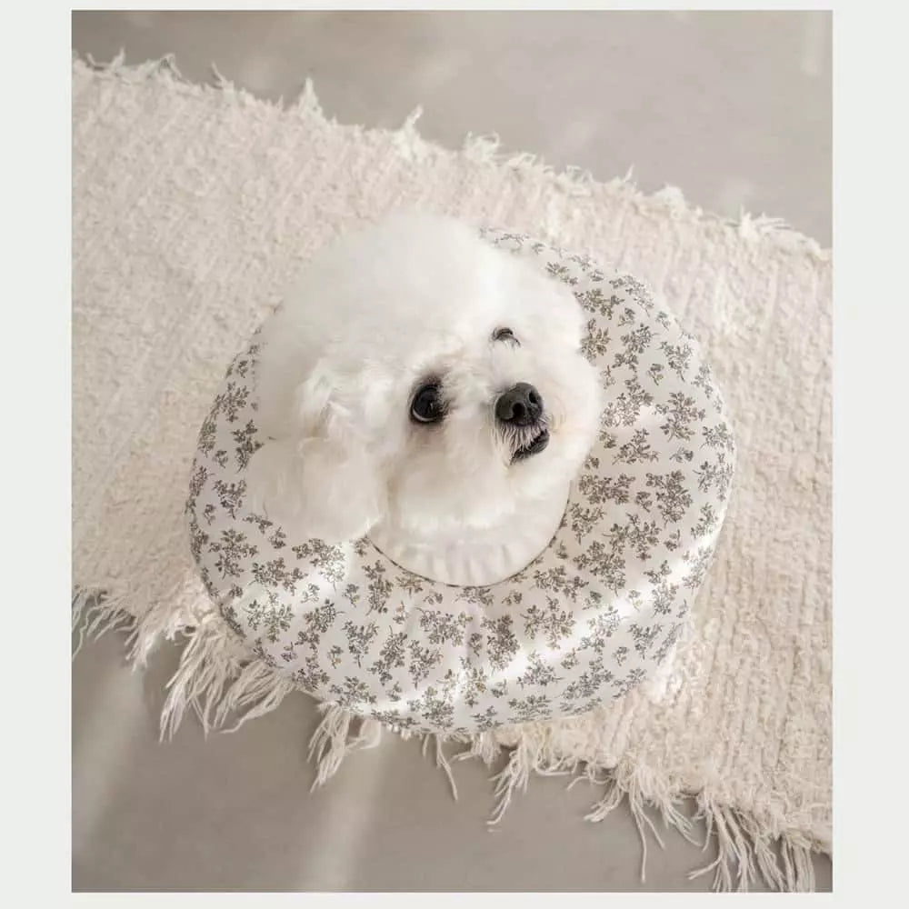 chichipaws 抗菌舒適防舔圈|杜邦抗菌技術 內膽防水可拆洗 術後無感伊莉莎白圈