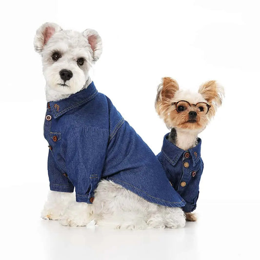 Blue Port 經典牛仔襯衫