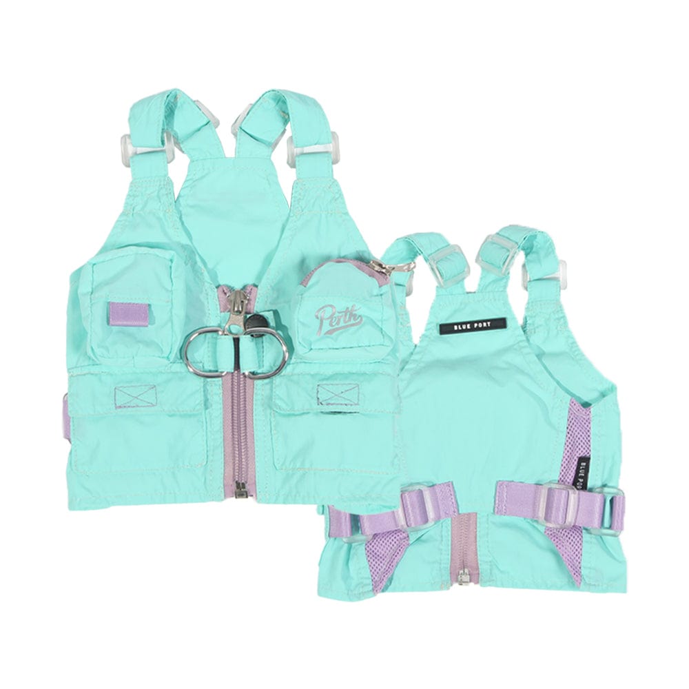 寵物在戶外夏日陽光中穿著工裝背心,自由奔跑的模樣