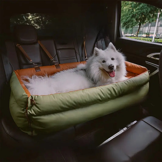 毛孩坐在 Bonus 車用安全艙中安穩看窗外,表情放鬆自在