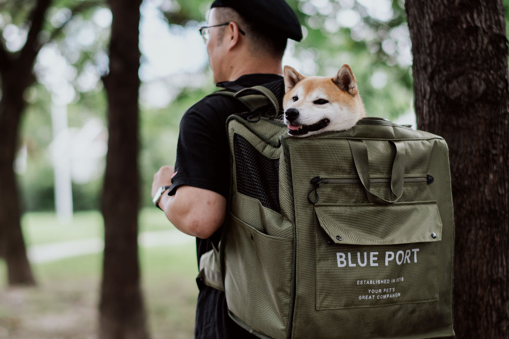 100%聚酯纖維材質,抗皺耐磨,輕盈實用|Blue Port