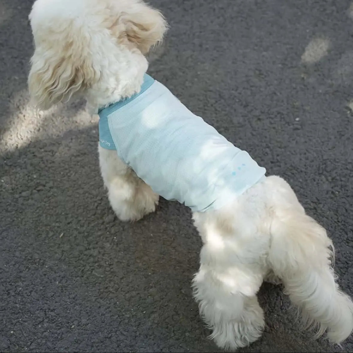 Hooooot Dog 超輕量寵物無袖涼感衣