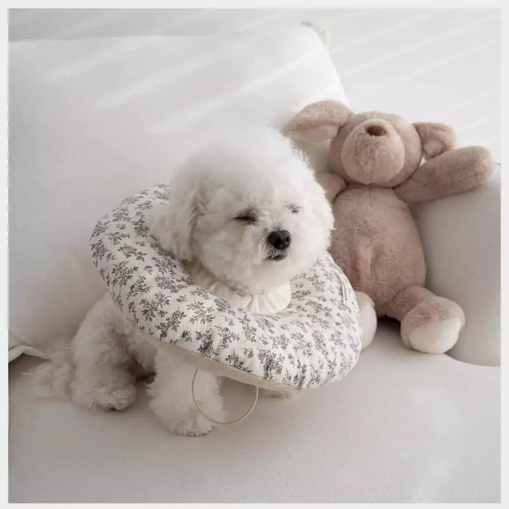 chichipaws 抗菌舒適防舔圈｜杜邦抗菌技術 內膽防水可拆洗 術後無感伊莉莎白圈