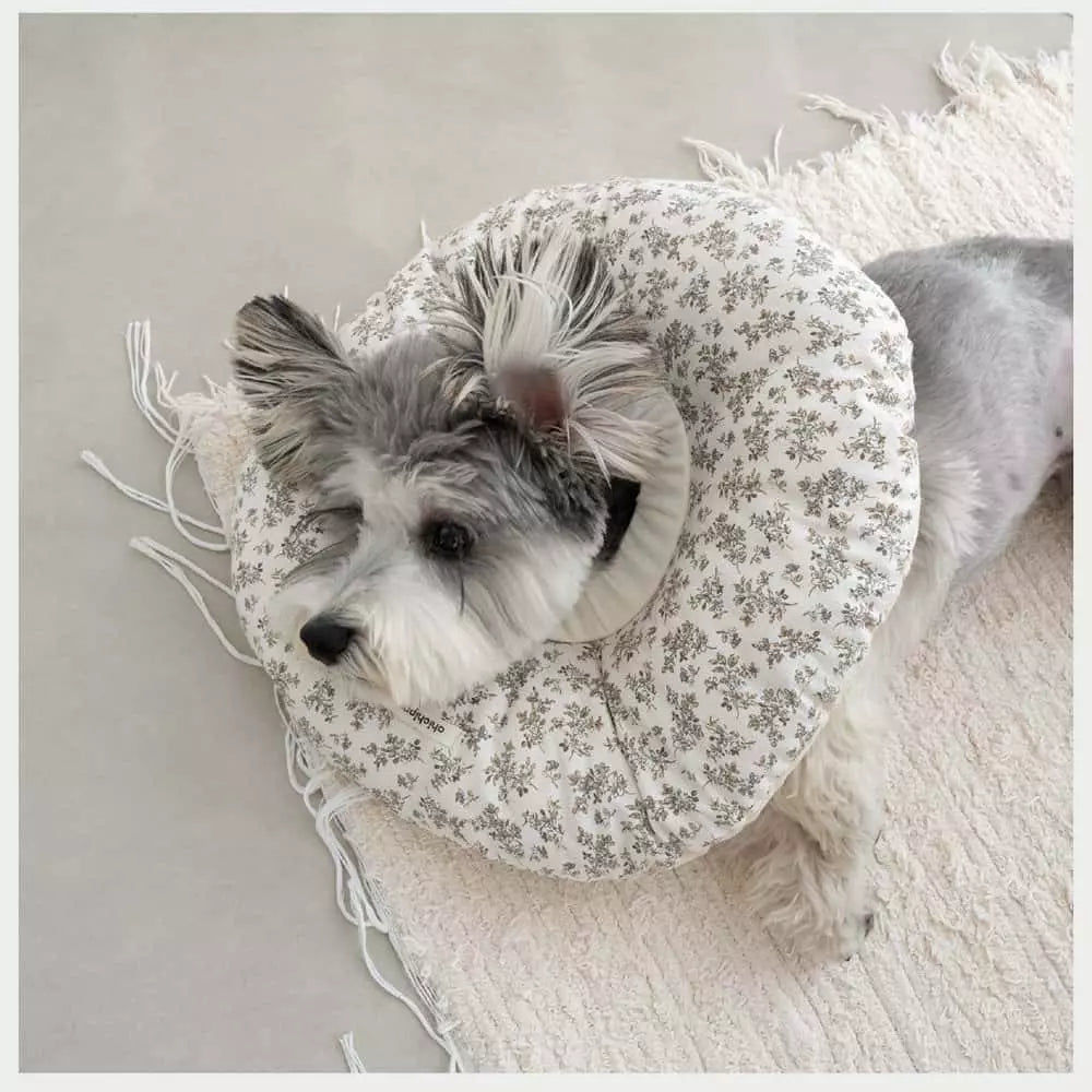 chichipaws 抗菌舒適防舔圈｜杜邦抗菌技術 內膽防水可拆洗 術後無感伊莉莎白圈