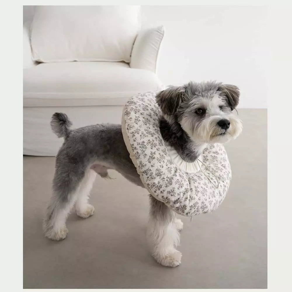 chichipaws 抗菌舒適防舔圈｜杜邦抗菌技術 內膽防水可拆洗 術後無感伊莉莎白圈