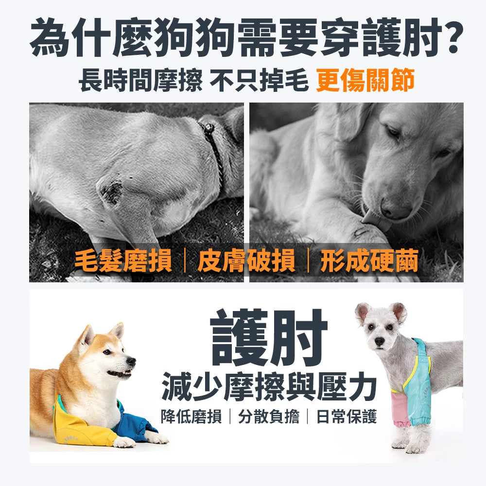 Blue Port 寵物機能護肘