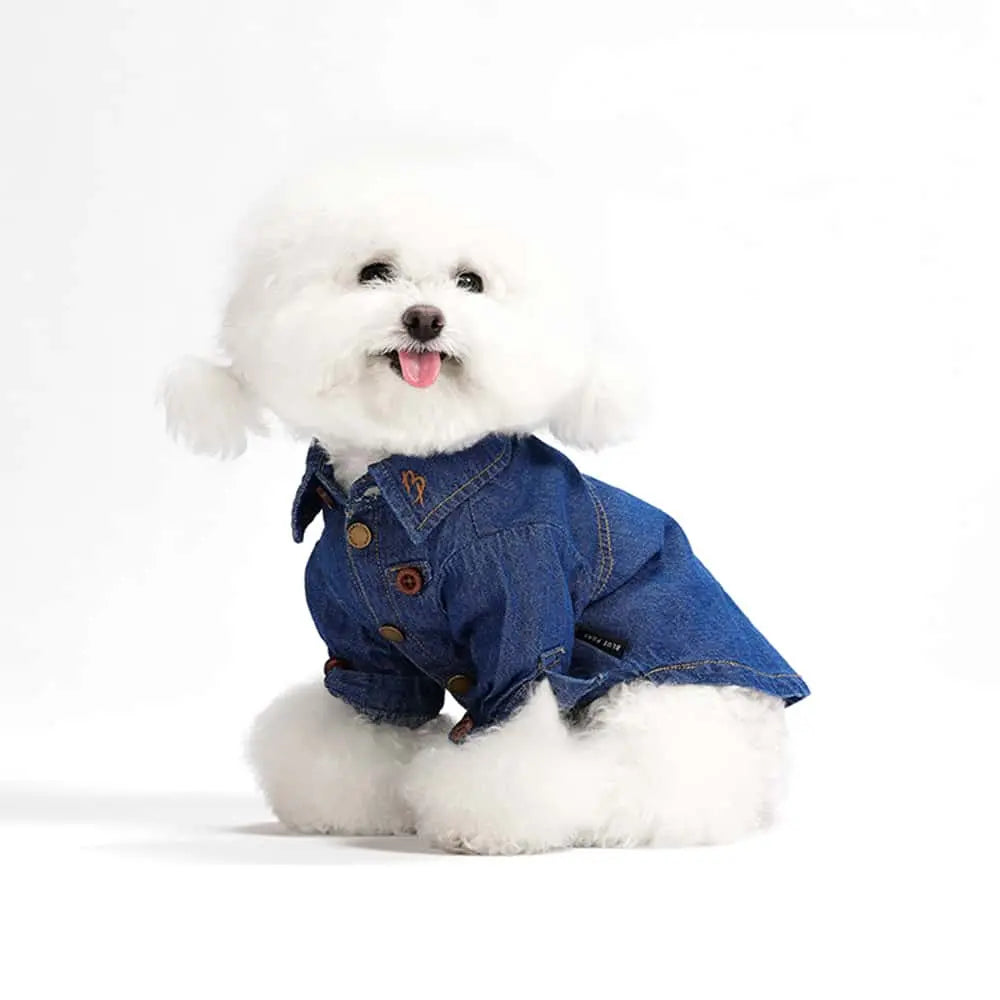 Blue Port 經典牛仔襯衫