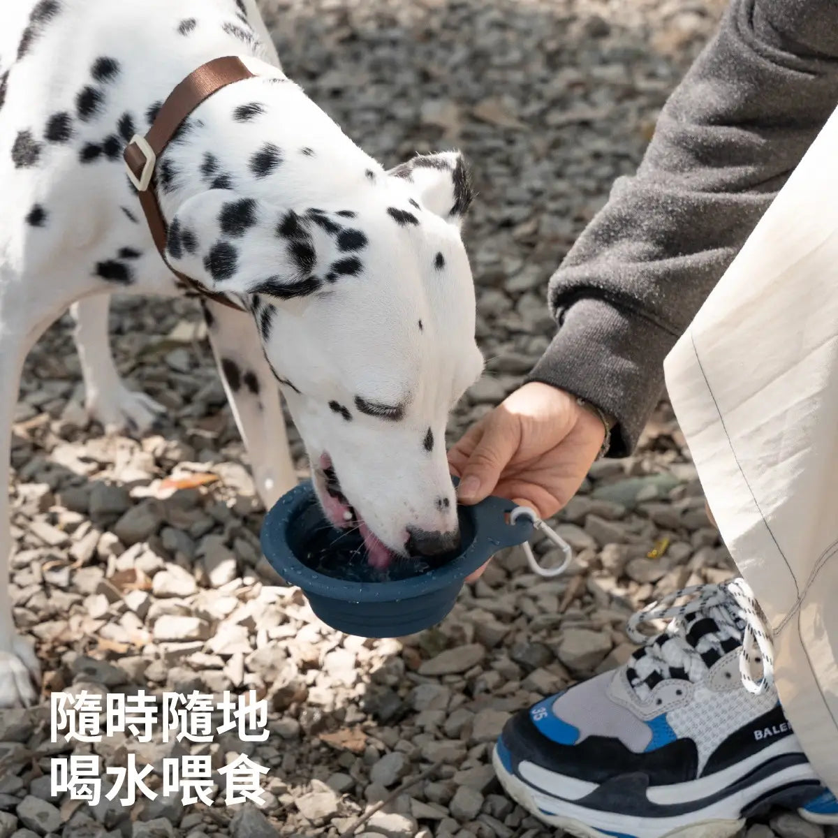 chichipaws 母嬰級寵物矽膠摺疊碗｜FDA認證・不含BPA・耐高溫200°C・極輕量登山扣