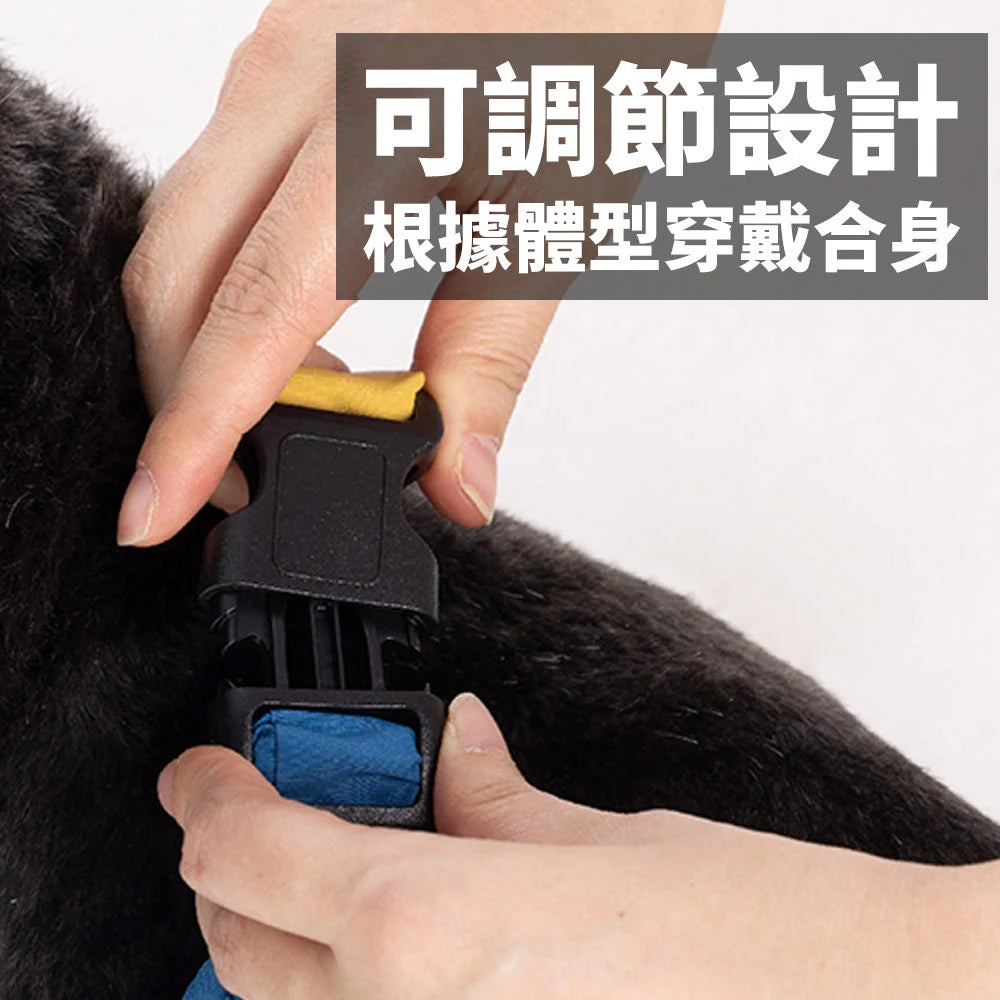 Blue Port 寵物機能護肘