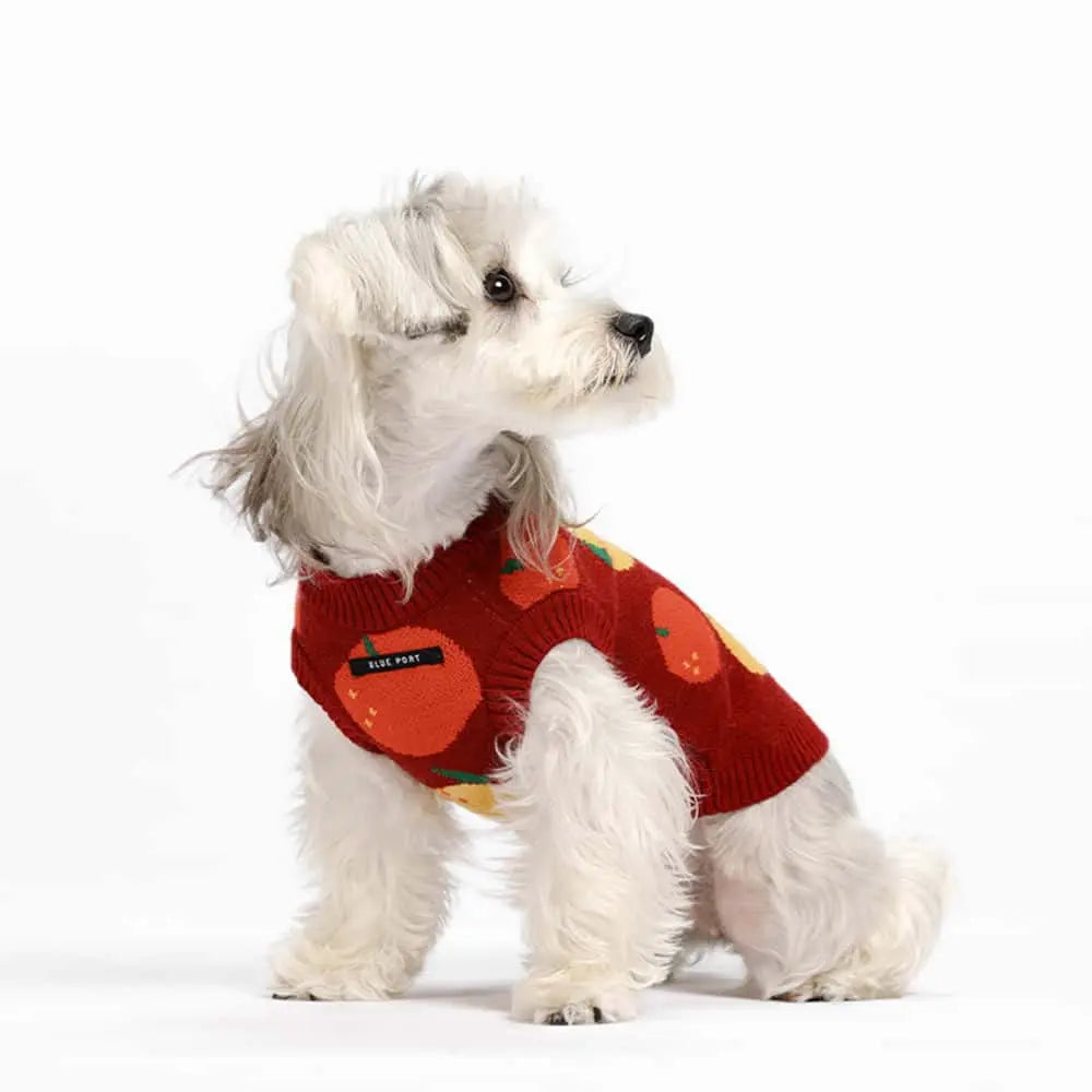 Blue Port 橘子毛衣背心