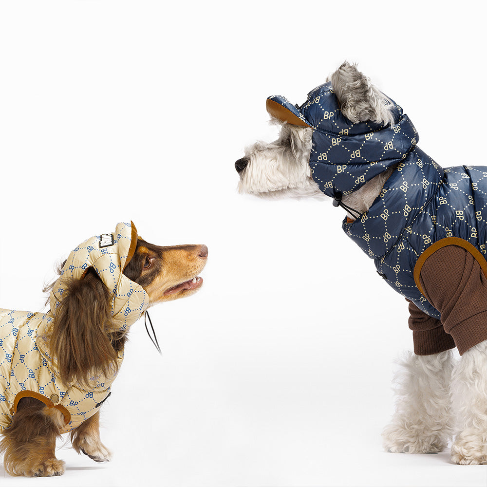 【新品預購中】Blue Port 超輕羽絨帽