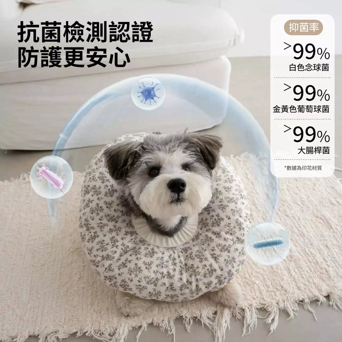 chichipaws 抗菌舒適防舔圈｜杜邦抗菌技術 內膽防水可拆洗 術後無感伊莉莎白圈