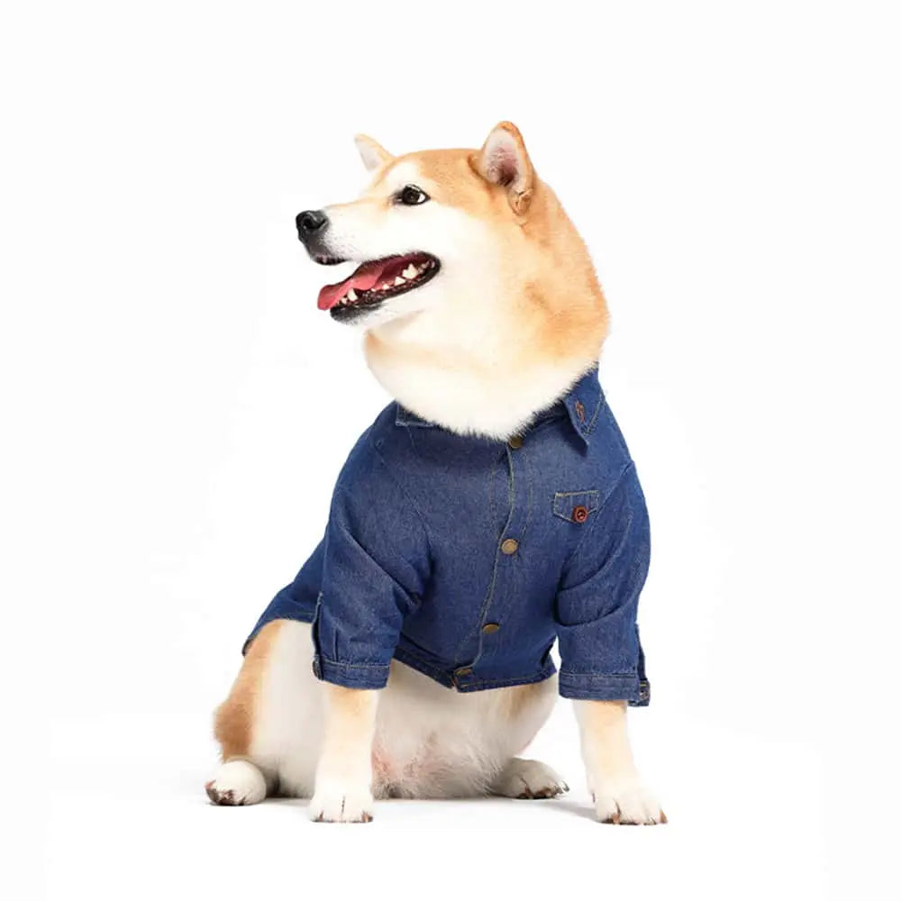 Blue Port 經典牛仔襯衫