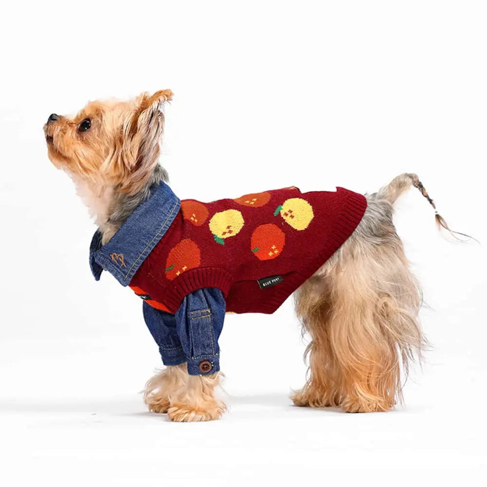 Blue Port 橘子毛衣背心