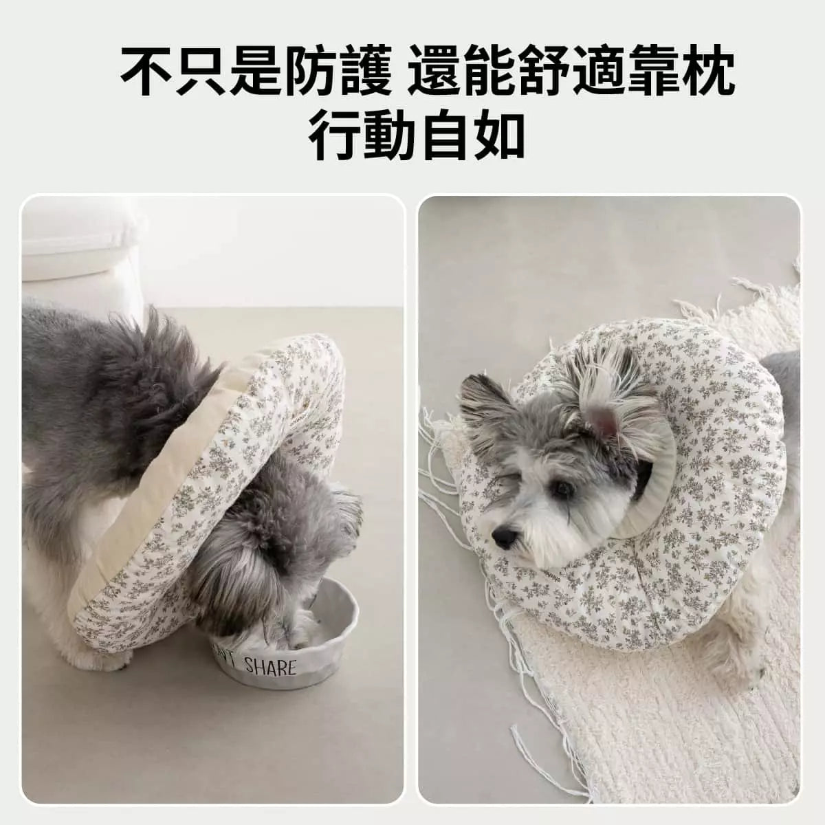 chichipaws 抗菌舒適防舔圈｜杜邦抗菌技術 內膽防水可拆洗 術後無感伊莉莎白圈