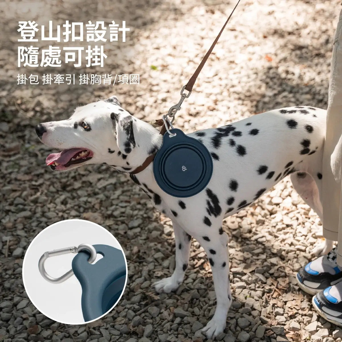 chichipaws 母嬰級寵物矽膠摺疊碗｜FDA認證・不含BPA・耐高溫200°C・極輕量登山扣