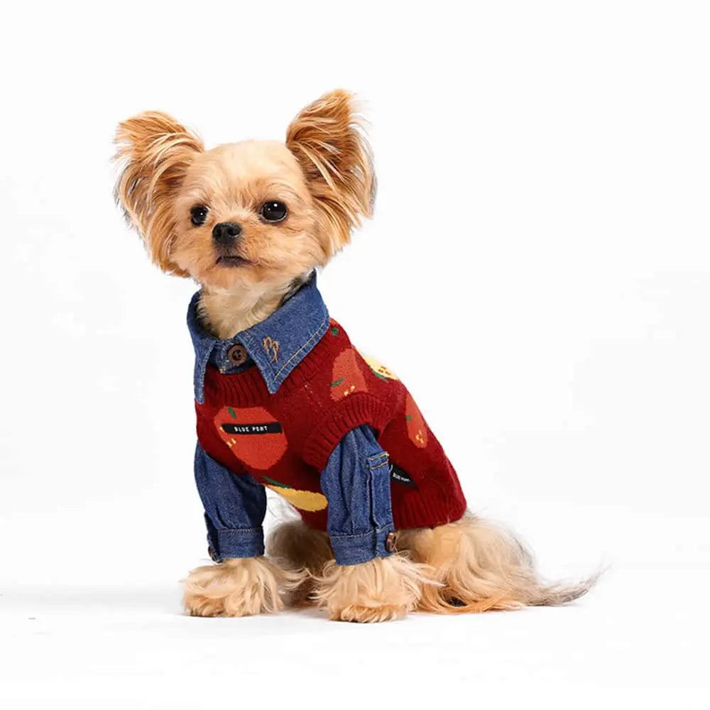 Blue Port 橘子毛衣背心