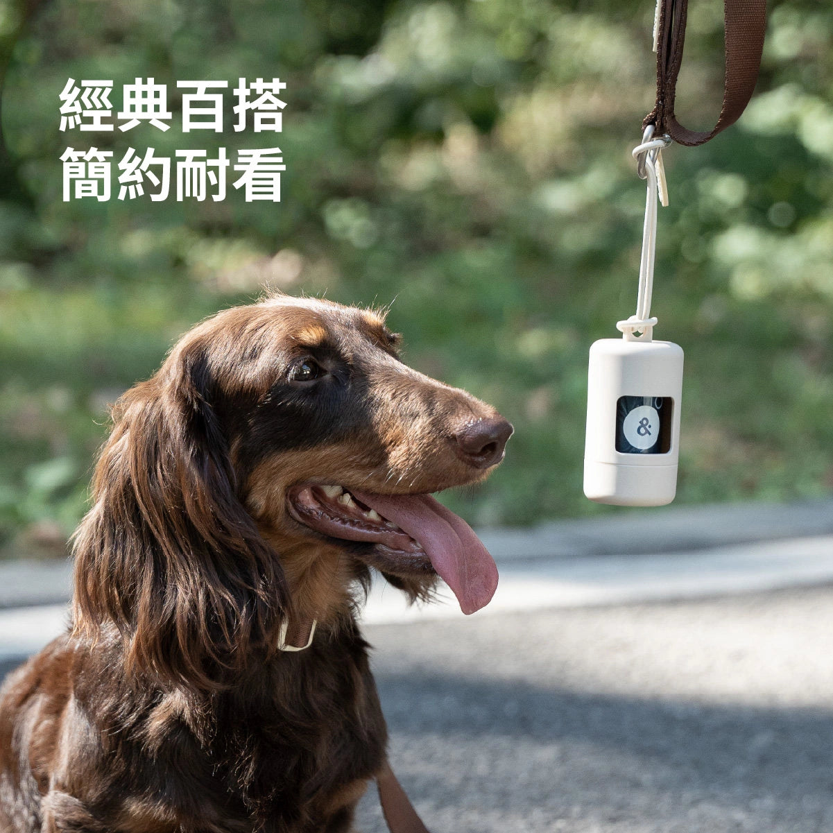 chichipaws 寵物撿便器｜掛繩式設計・ABS堅固材質・環保加厚降解袋・時尚遛狗配件