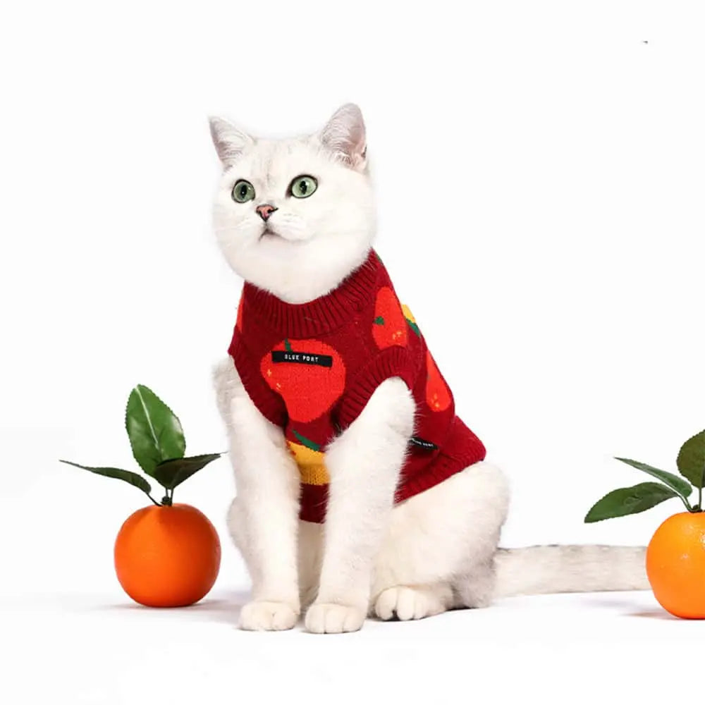 Blue Port 橘子毛衣背心