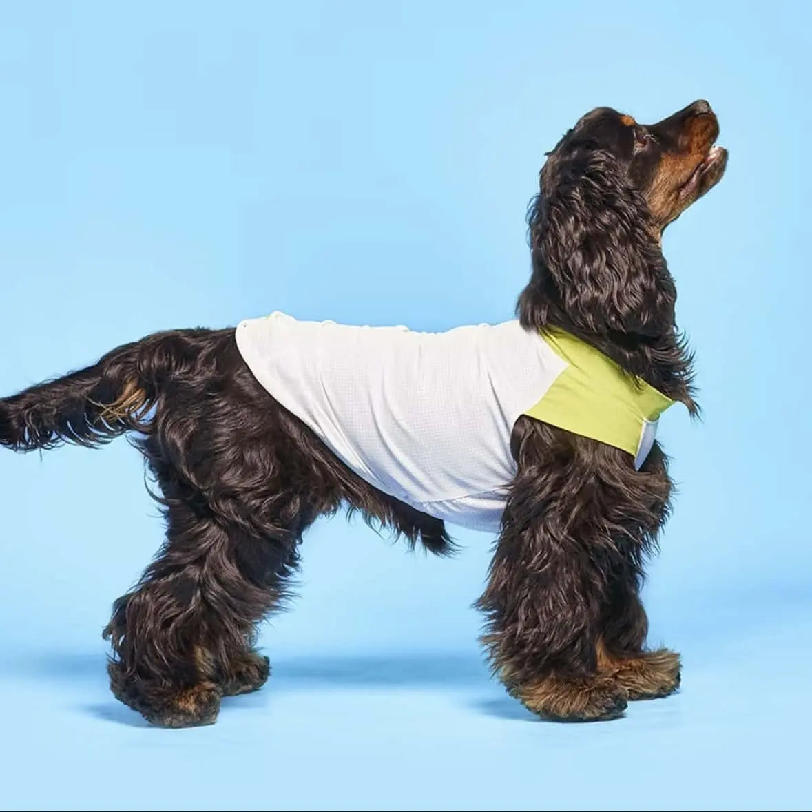 Hooooot Dog 超輕量寵物無袖涼感衣