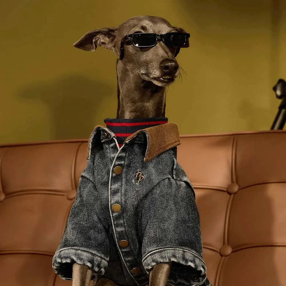 Blue Port 柔軟牛仔水洗外套