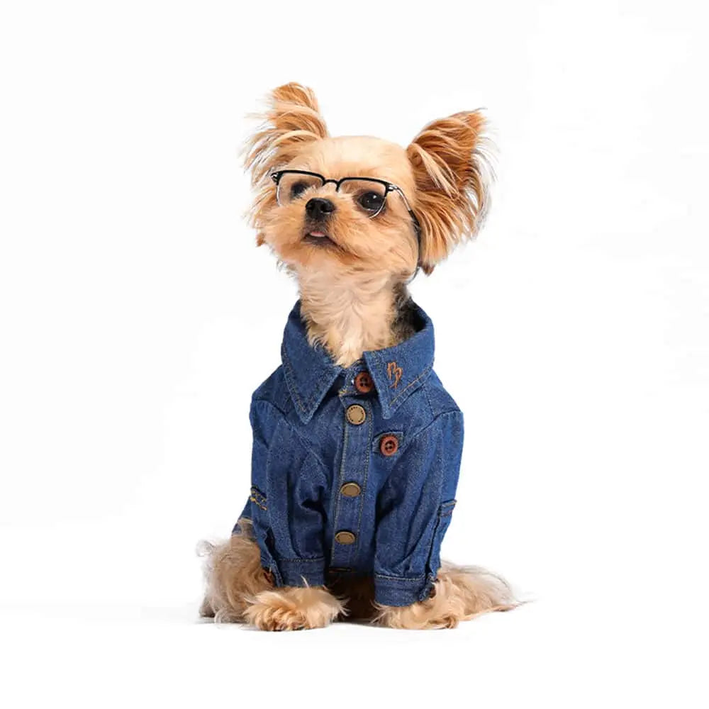 Blue Port 經典牛仔襯衫