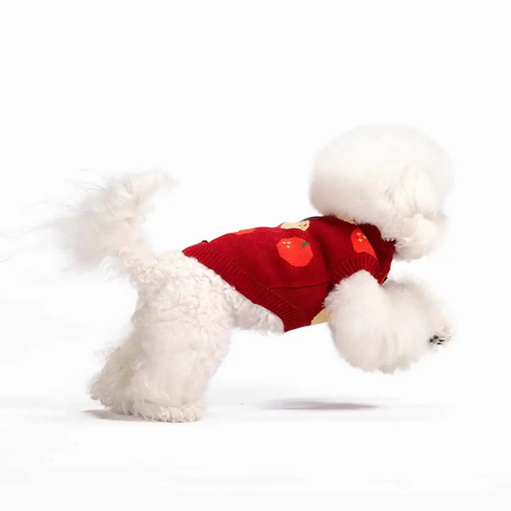 Blue Port 橘子毛衣背心