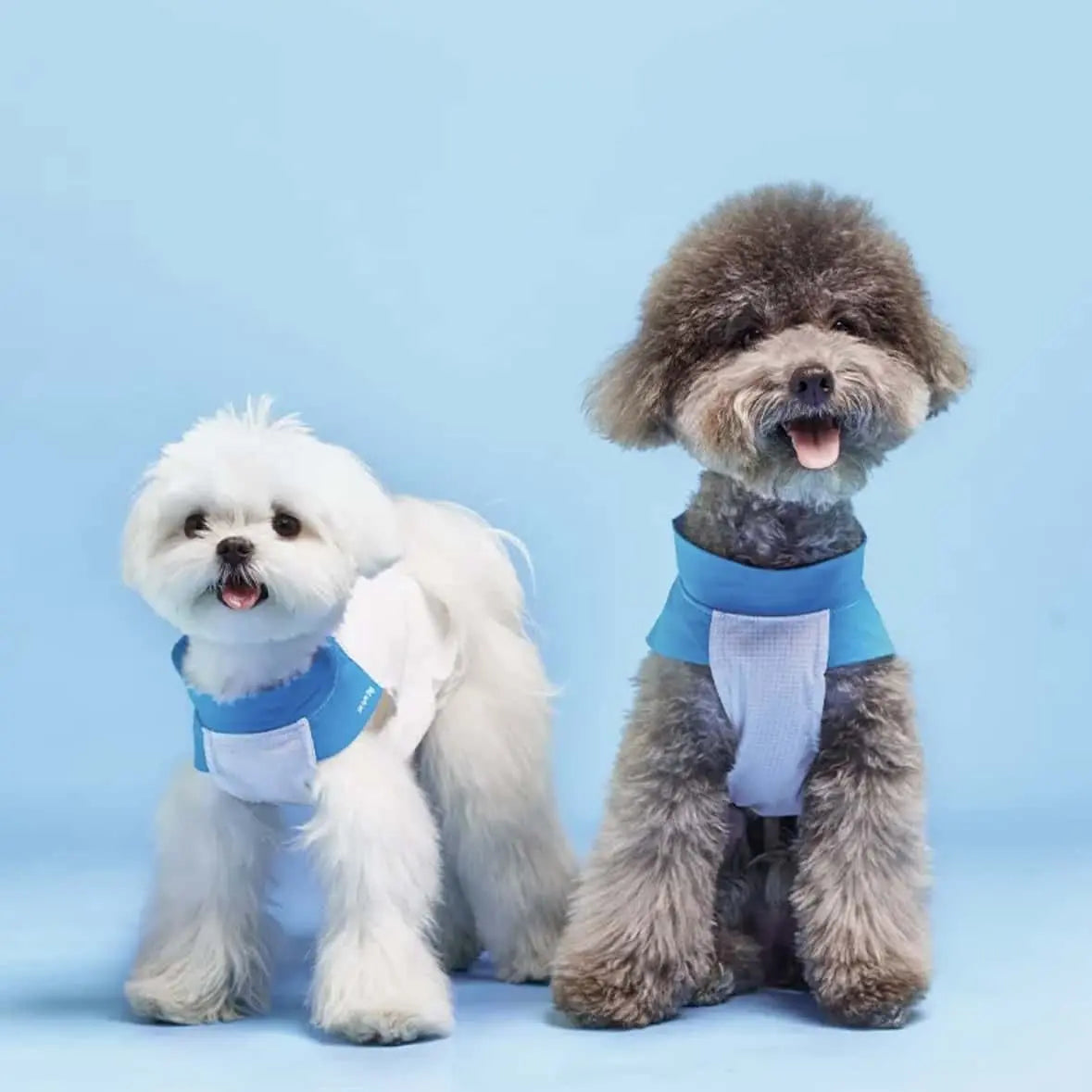 Hooooot Dog 超輕量寵物無袖涼感衣