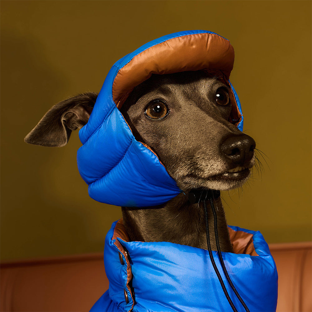 【新品預購中】Blue Port 超輕羽絨帽