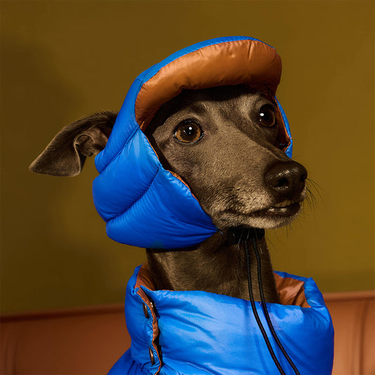 【新品預購中】Blue Port 超輕羽絨帽