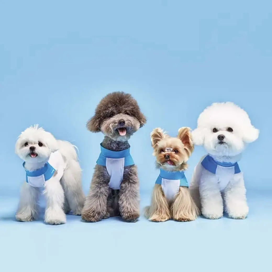 Hooooot Dog 超輕量寵物無袖涼感衣