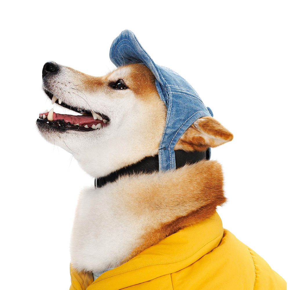 Blue Port 寵物牛仔棒球帽，遮陽防曬設計，適合中小型犬與貓咪