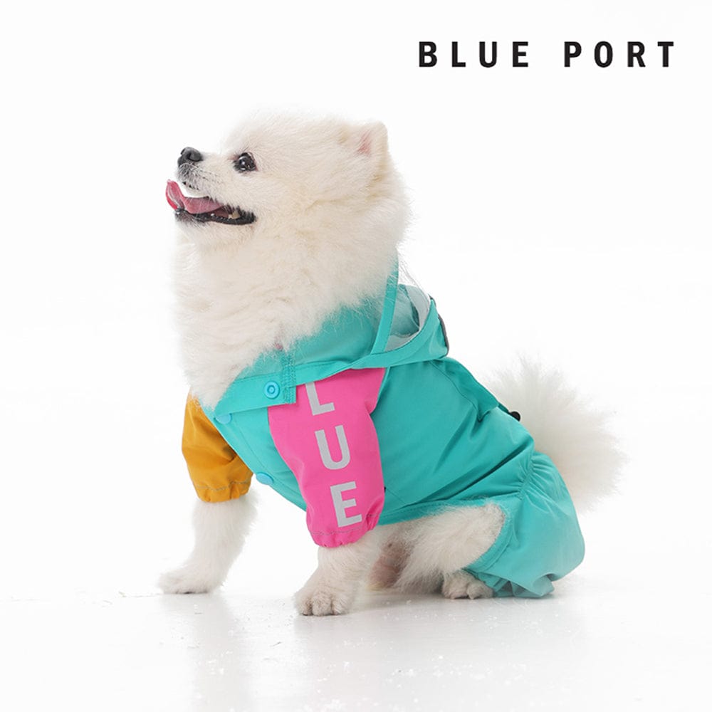 Blue Port 輕量時尚雨衣，讓毛孩雨天也能亮眼登場