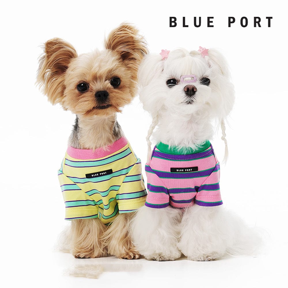 Blue Port 夏季基本款條紋T，毛孩日常穿搭首選