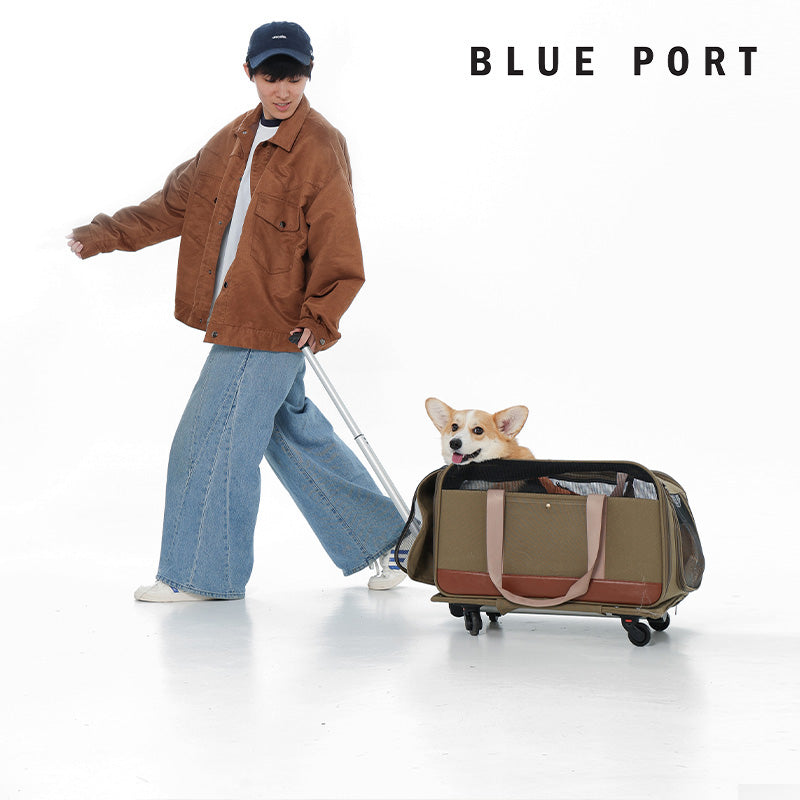 寵物推車透氣網紗設計，內部寬敞舒適｜Blue Port
