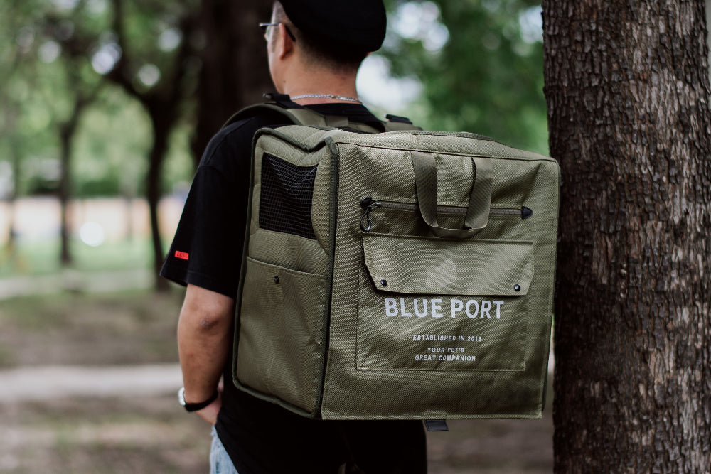 硬挺底板支撐力強，可摺疊收納不佔空間｜Blue Port