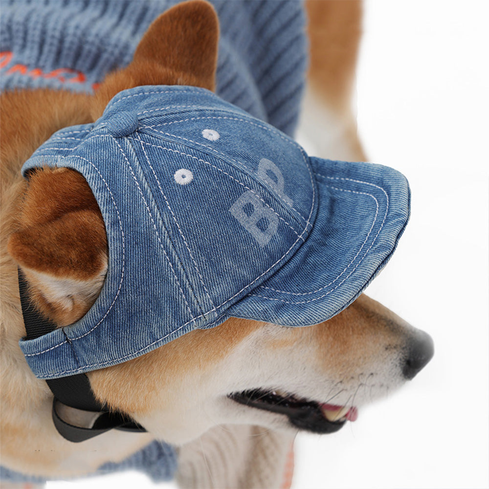 中小型犬穿戴 Blue Port 棒球帽，戶外遮陽防曬