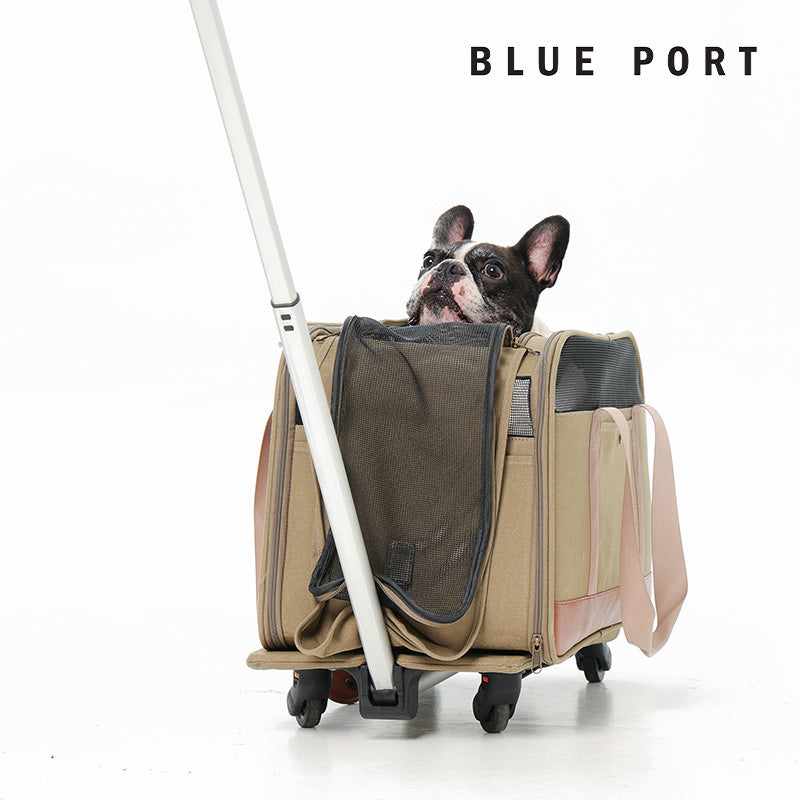 加高加寬空間設計，適合中小型貓咪與狗狗｜Blue Port