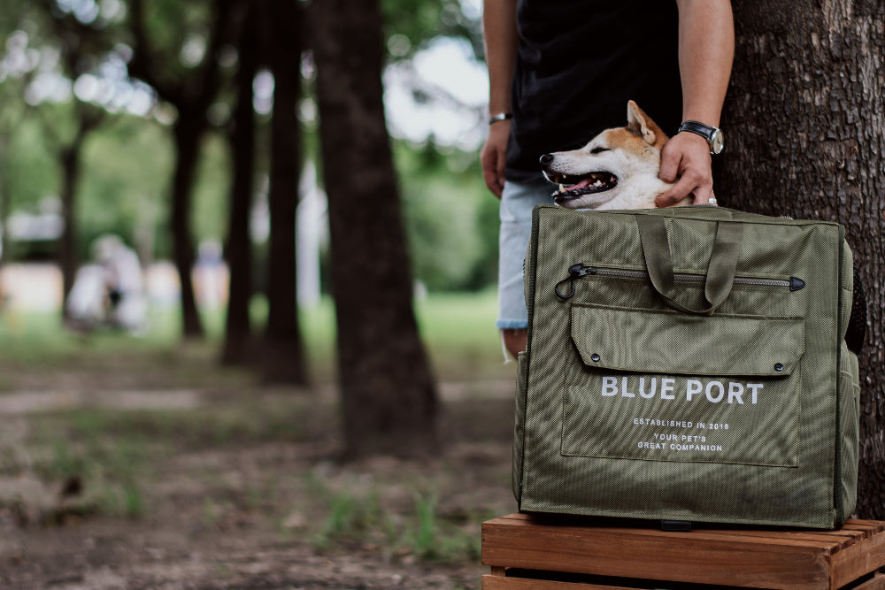 內建安全扣設計，防止寵物逃脫更安心｜Blue Port