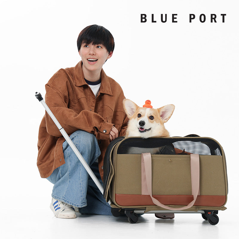 寵物拉桿車可全包折疊收納，省空間好攜帶｜Blue Port