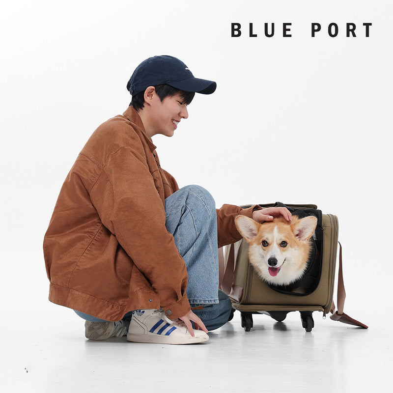 拉桿車輪子可拆卸設計，方便清潔與收納｜Blue Port